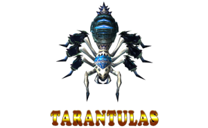 Tarantulas